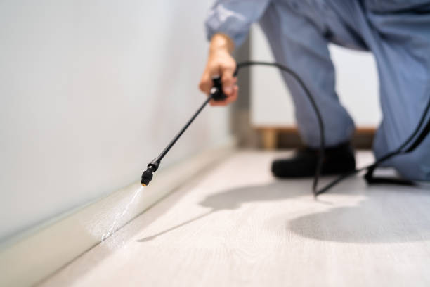 Rodent Entry Point Assessment in Sweet Home