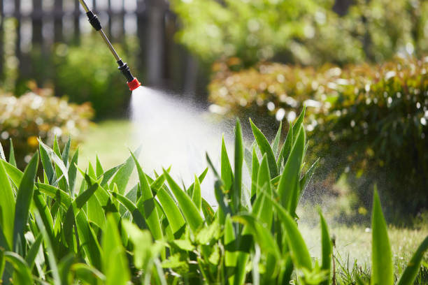 Tamper-Resistant Bait Stations for Rodents in Sweet Home