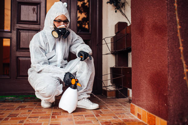 Attic and Crawl Space Rodent Treatment in Sweet Home